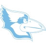 DT Image